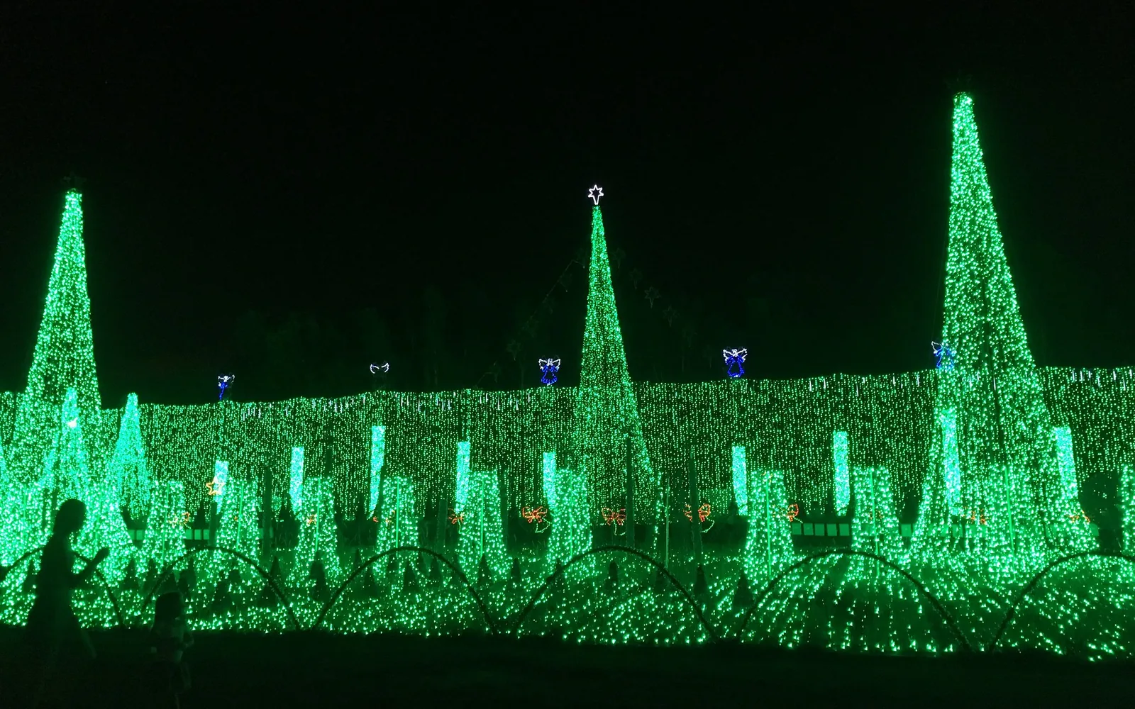 Christmas lights on the grounds of Plantation Baptist Church in Plantation.