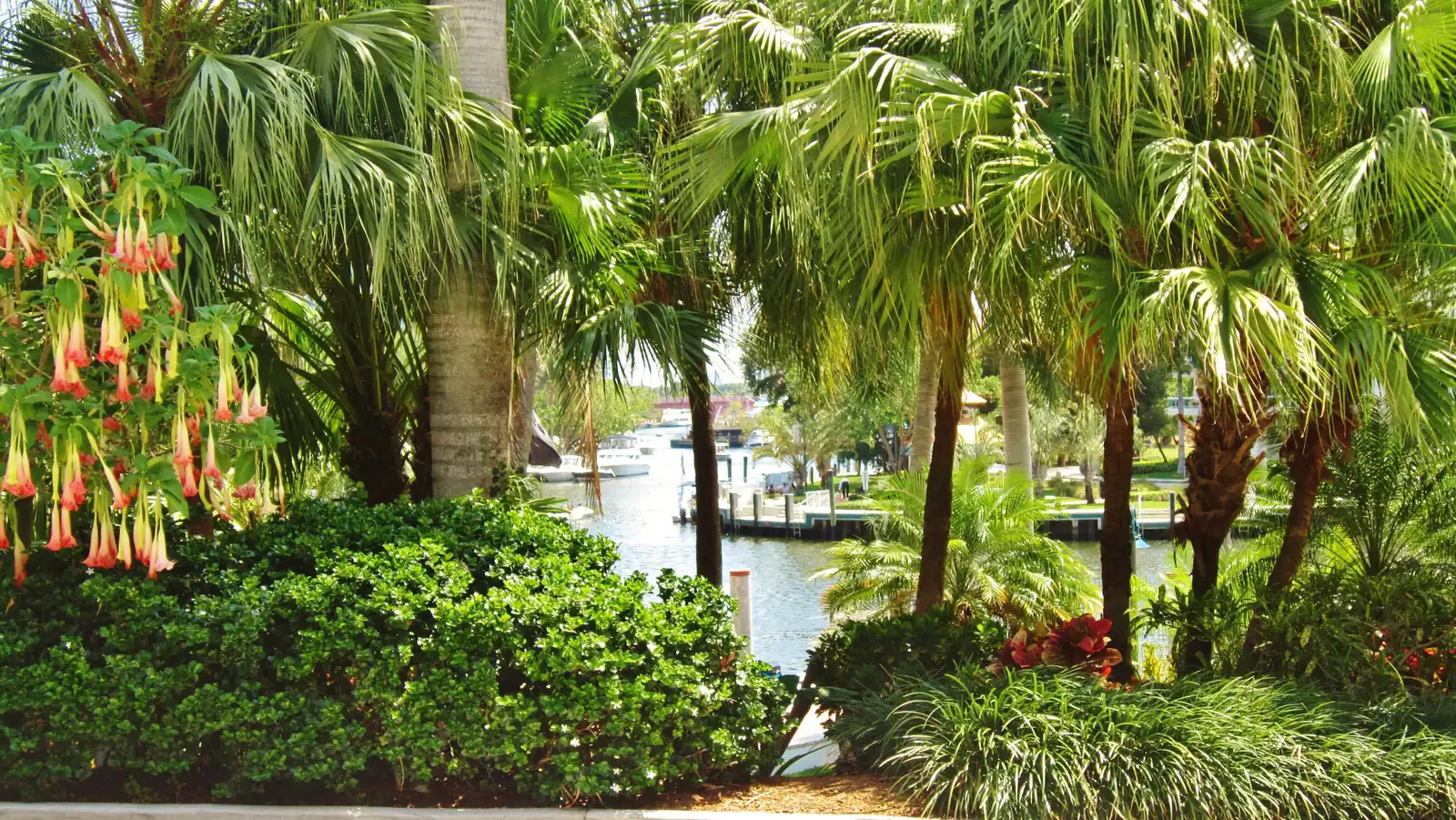 The New River and Riverwalk seen from the Broward Center for the Performing Arts in downtown Fort Lauderdale, beside the Downtown Countdown site.