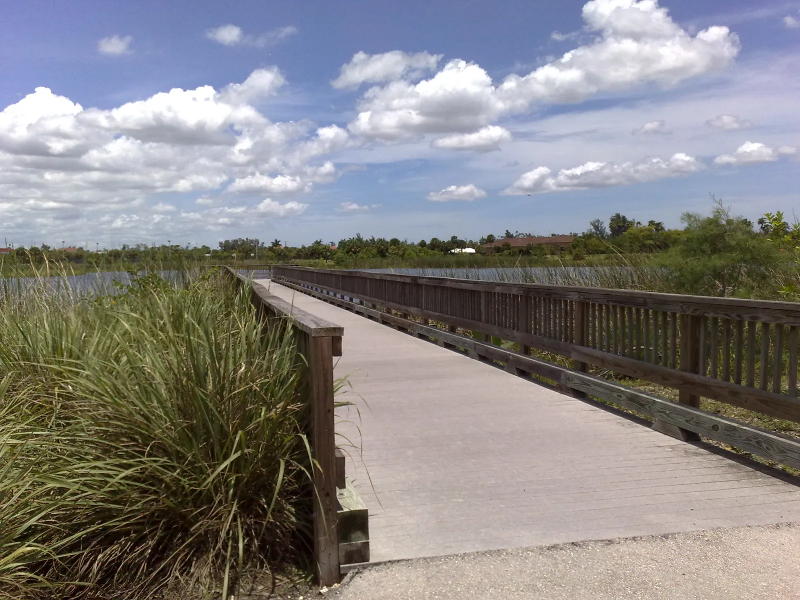 A boardwalk over the wetlands at Volunteer Park in Plantation.